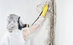 Mold Remediation for Rental Properties in Raintree Plantation, MO